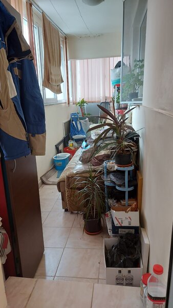 Drumul Taberei, Favorit,