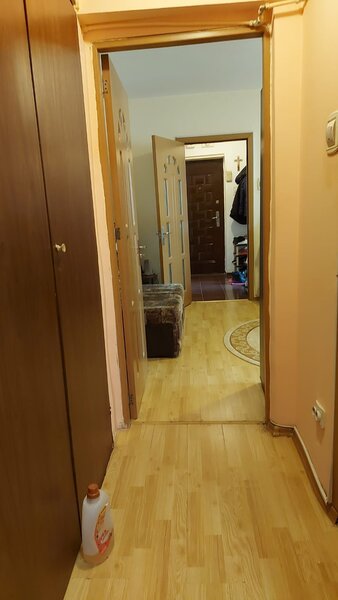 Drumul Taberei, Favorit,